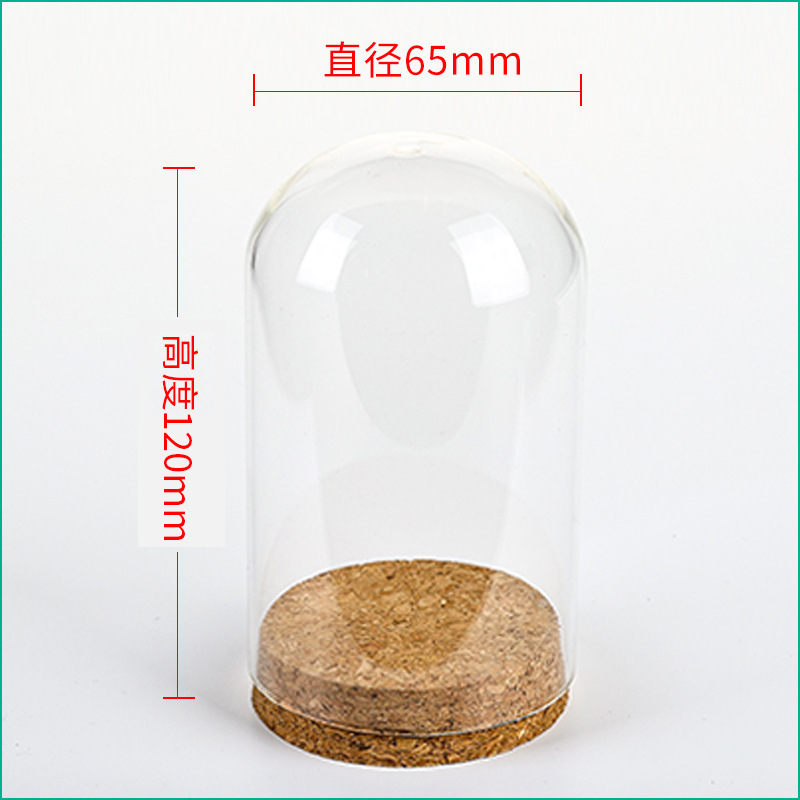 Wedding Zoo - 36pcs D65XH120mm แก้วใส Cloche Bell Jar